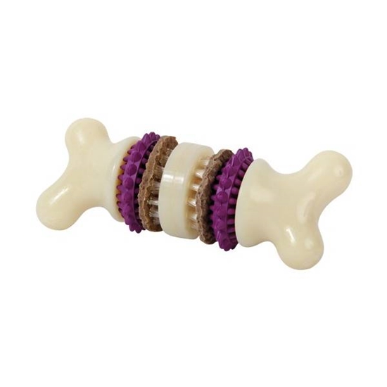 Picture of Busy Buddy Bristle Bone Dental Chew and Treat Toy for Dogs